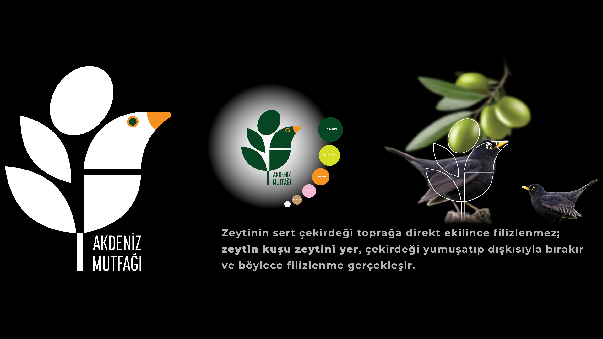 Görsel alanı 1